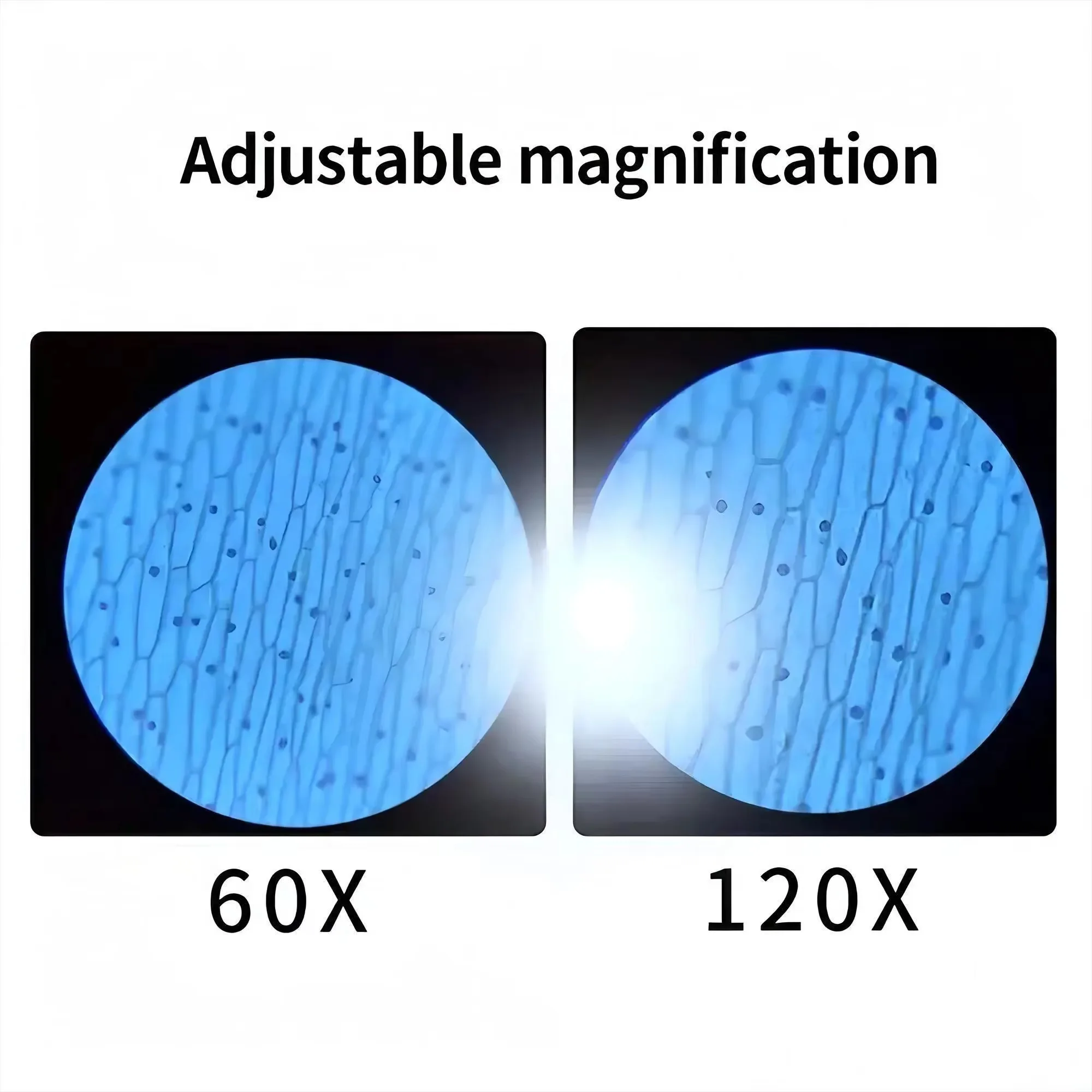 미니 포켓 현미경 60x 120x 휴대용 LED 조명  - Science Max 리뷰 및 가격